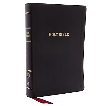 KJV Holy Bible Review
