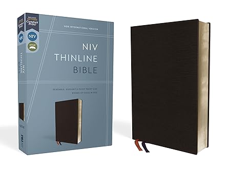 NIV Thinline Bible review